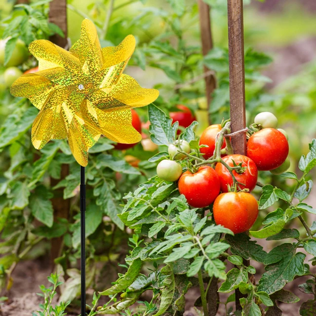 2/10Db Madárriasztó Szélmalom Kültéri Kerti Madárcsökkentő Szikrázó Pinwheels Ezüst Színes Szél Fonó Gyerekek Játék Gyep Dekoráció - Image 4