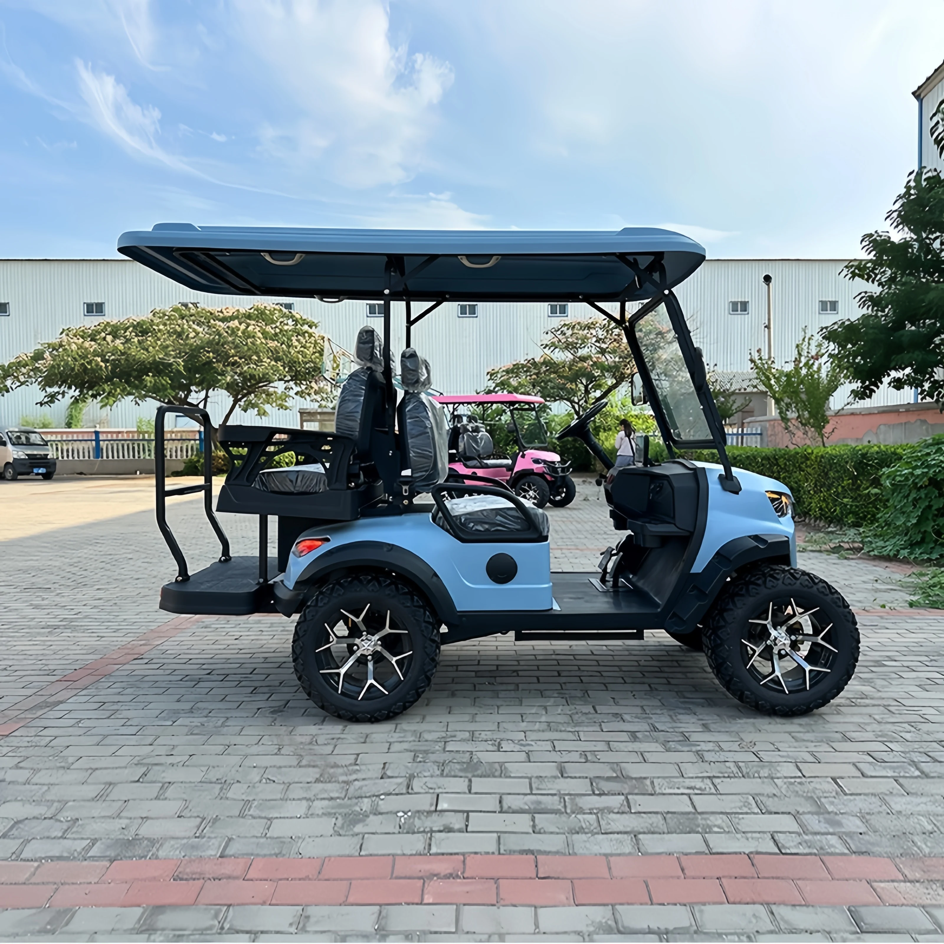 EEC Approved 60V 1500W 4 Wheel Electric Golf Cart Buggy Scooter Suitable for hunting and electric vehicles