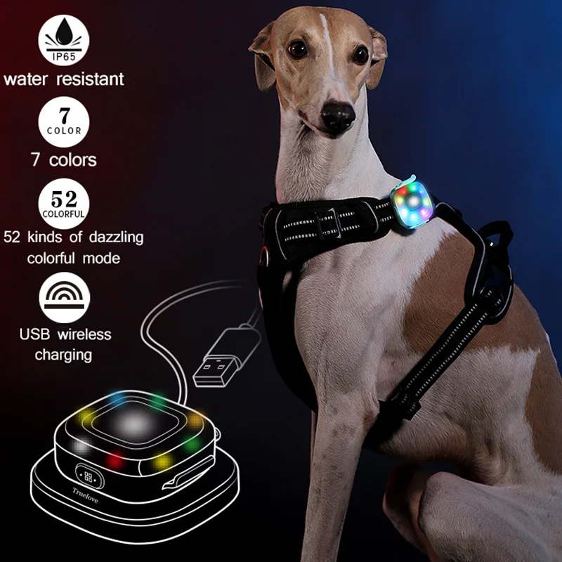 LED Light Dog Tag Clip-On Pet Collar Pendant Safety Flash Night