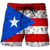 Puerto Rico 3D Printed Beach Shorts Men Puerto Rican Flag Pattern Surf Board Shorts Summer Swimming Trunks Quick Dry Ice Shorts 1