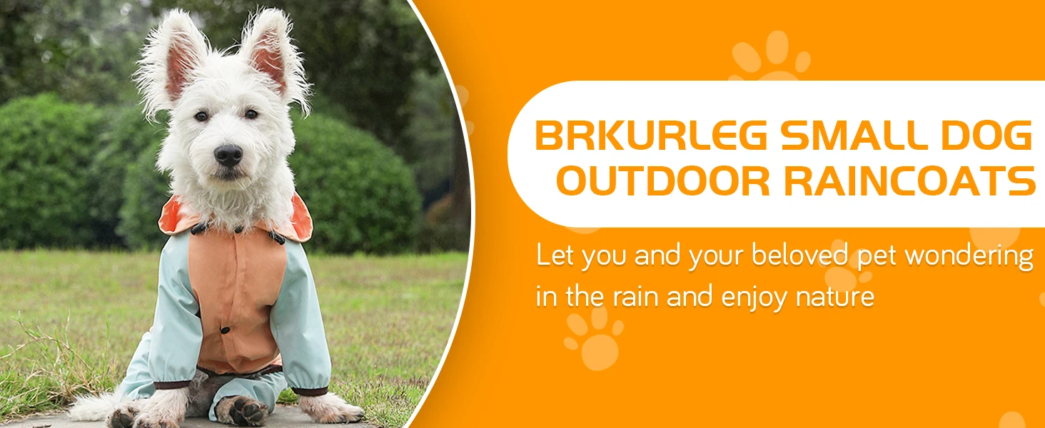 raincoats for dogs