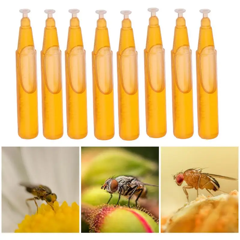 10 Pcs Fruit Fly Attractant 2Ml Trap Bait Apicoltura Beehive Tool Killer Swarm Tracking Tool Liquido Per Serre Vivai