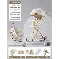 Poussette double pliable et légère pour bébé, Double siège, paysage haut, pour nourrissons, réversible, assis, voyage, pratique 1