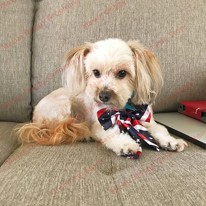 Bulk Dog Bow Tie For Big Dog Bowties Neckties Solid Dog Pet Grooming For Dog Wedding Supplies Dog Accessories For Small Dogs 2