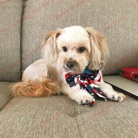 Bulk Dog Bow Tie For Big Dog Bowties Neckties Solid Dog Pet Grooming For Dog Wedding Supplies Dog Accessories For Small Dogs 2
