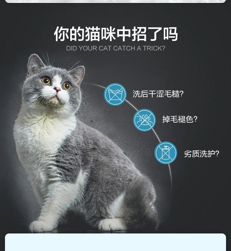 Se71e8064f51d45a497db76c0d4cf1b6ej.jpg?width=790&height=859&hash=1649