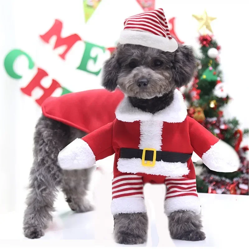 

Small, Medium and Large Dog Christmas Pet Supplies Clothes Teddy Cat Cotton Clothing Clothing Quirky Fall and Winter Elderly Elk