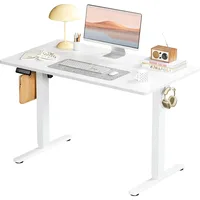 Adjustable Height Electric Sit Stand Up Down Computer Table, 40x24 Inch Ergonomic Rising, Computers Desks 2