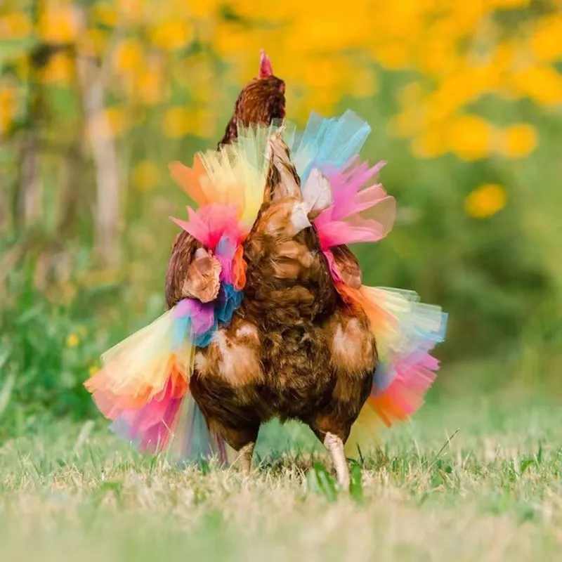 Chicken Costume Skirt Hen Decor Poultry Protector Cosplay Dress Party Props Poultry Protector Halloween Dress Farm Animal Suppli