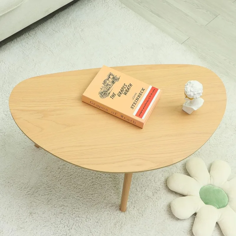 Small Oval Coffee Table Mid Century Modern for Living Room Center Minimalist Display Coffe Table 4