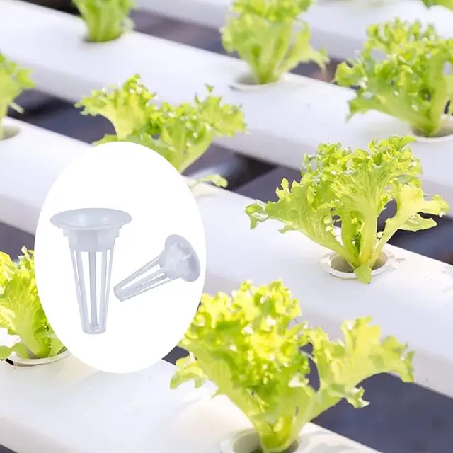 50Db/Készlet Pótalkatrészek Termesztése Kosár Kompatibilis A Tenyésztési Szivacs Növénytermesztési Edények Hidroponikus Termesztési Rendszerhez - Image 4