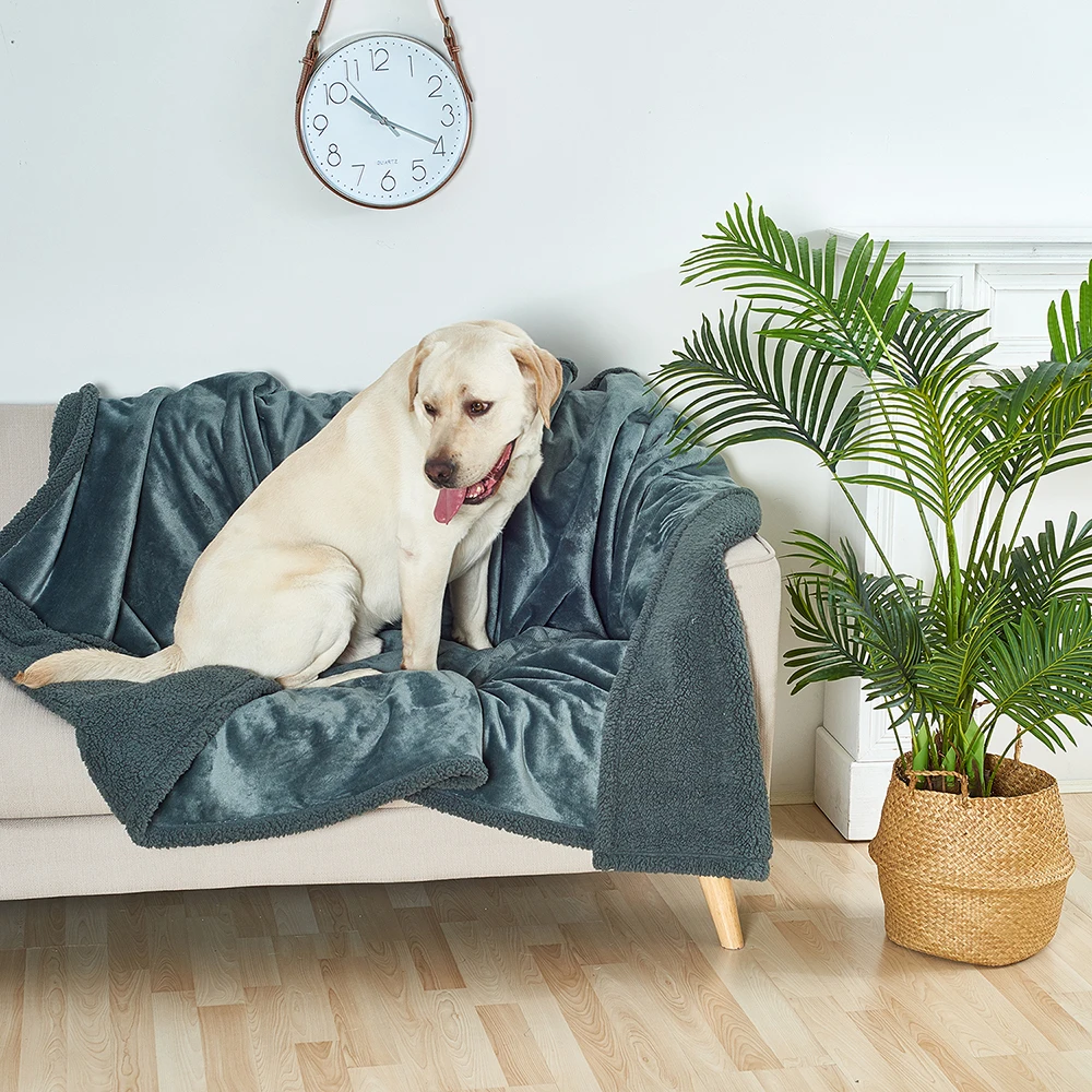 Inyahome – Couverture Imperméable Pour Chien, Couverture Pour Animaux De  Compagnie, Imperméable, Lavable, Anti-pipi, Pour Lit Et Canapé - Couverture  - AliExpress