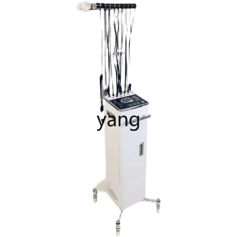 

Yhl Dual Screen Digital Hair Perm Machine Hair Salon Perm Hot Iron Machine 2 Intelligent Ceramic Hair Perm