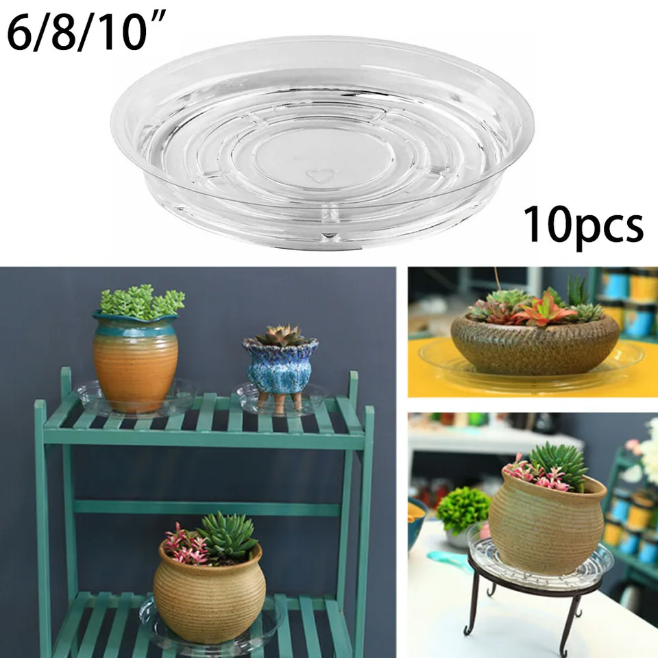 Aazon.co : GROWNEER 15 Pack Of 8 Inches Clear Plant Saucers Flower