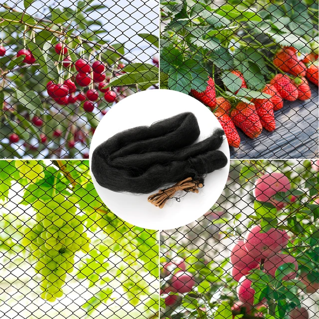 Fekete Nylon Anti -Madárháló Háló Megakadályozza A Vadászat Fogást Kerti Szerszámok Zöldségfarm Gyümölcsös Szőlőskert Védelme - Image 5