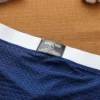 Mens low waist breathable ice mesh hole comfortable fashion briefs men 3