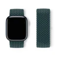 Rainforest Green