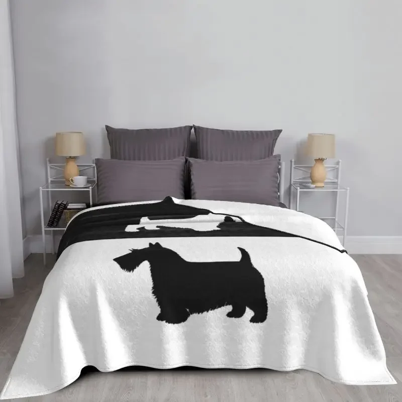 ������ �ε巯�� �ö��� ��īƼ �׸��� ���, ���� ���� ħ���� �� ������ ���, ����