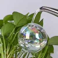 2/3/4/6Pcs Automatic Plant Watering Bulbs Self Watering Glass Balls Watering Device Drip Irrigation System For Garden Flower 1