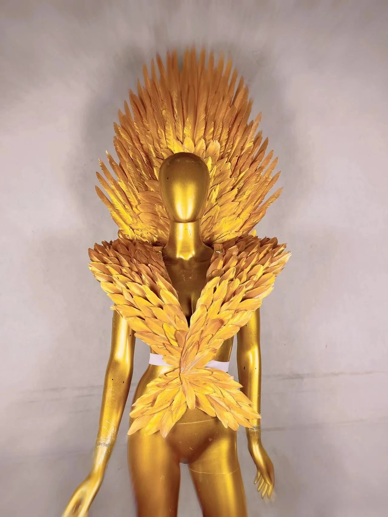 Gogo Dancer Costume Outfit / Dancer Festival Costume Golden Feather Backboard Di Milano Fashion Show Singer Outfits