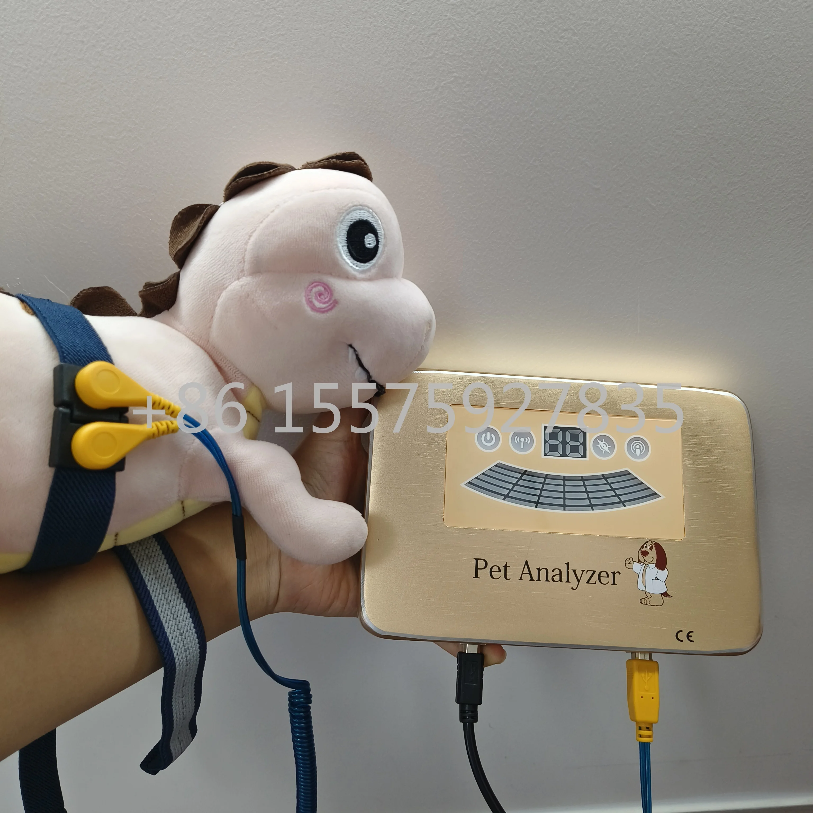 

Cats and dogs Vitamin Amino Acid Coenzyme Heavy Metal Pet Scanner Quantums Magnetic Resonance Analyzer