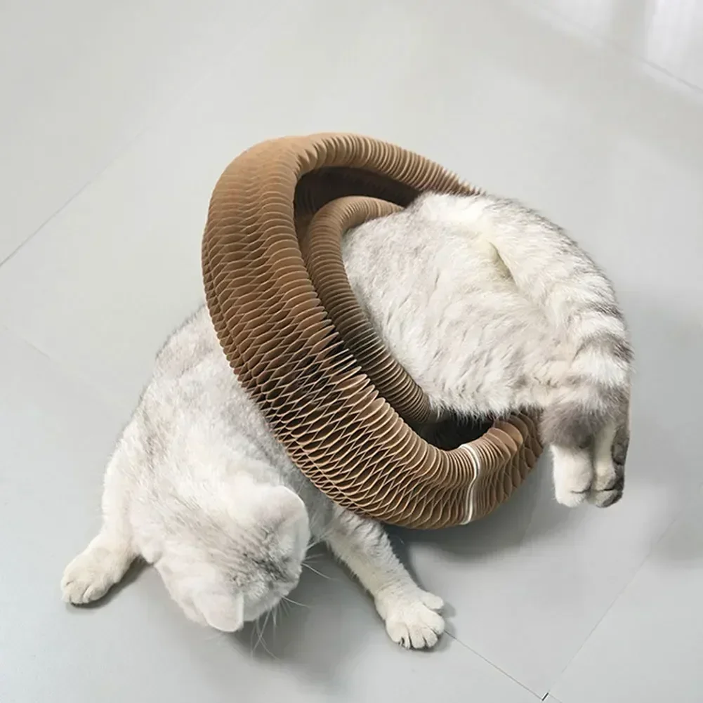 Magic Corrugated Cat Scratcher