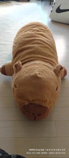 Chonky Sleeping Capybara Plushie photo review