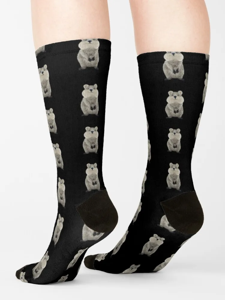 Quokka! Socks Sock Christmas Men Socks