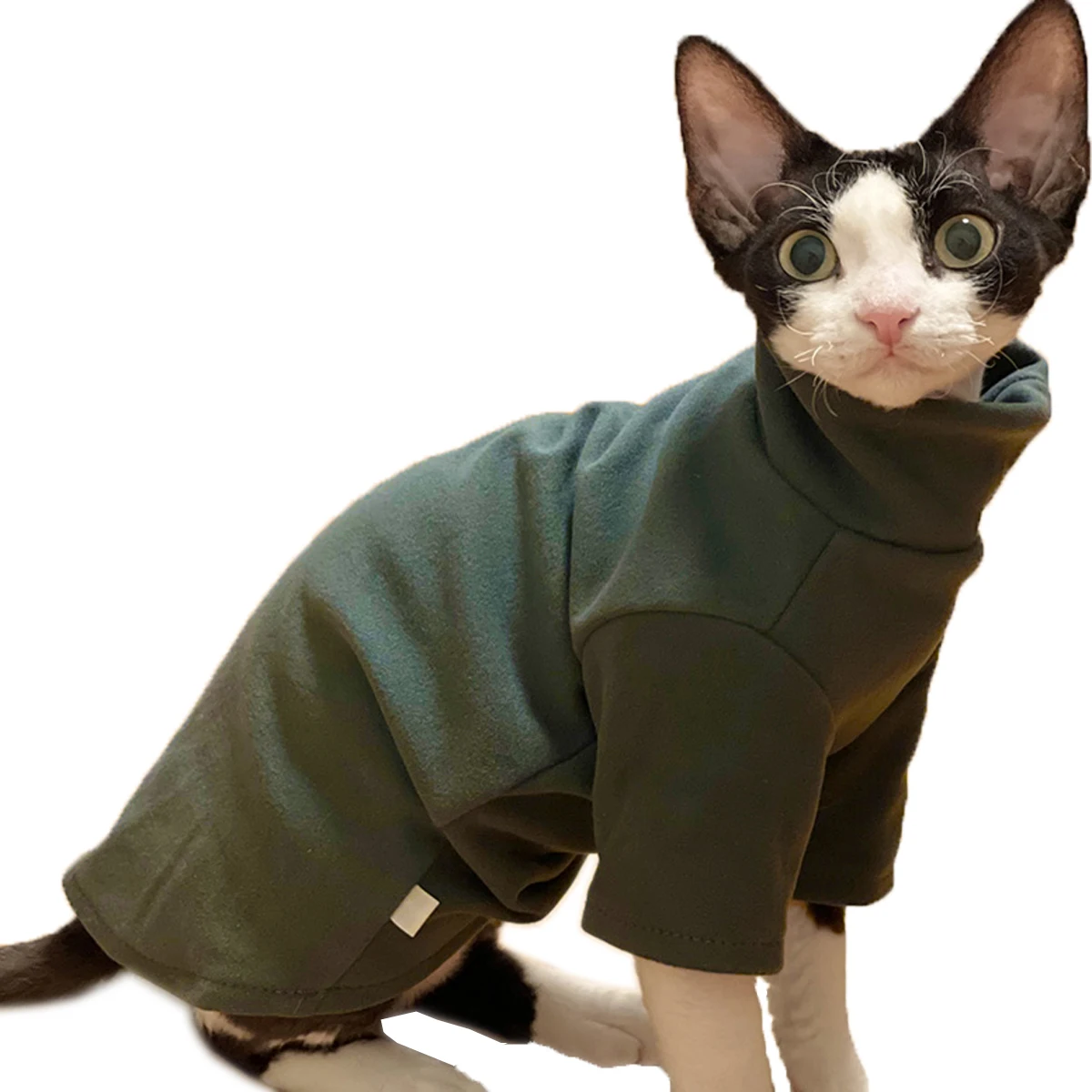  Sphynx Cat Clothes Breathable Pure Cotton Fashion Icon Cat  Sweater Kitten Outfit with Sleeves for Sphynx Cornish Rex, Devon Rex,  Peterbald (XS, Grey) : מוצרים לחיות מחמד