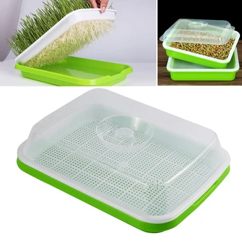Sprouting Tray Box Pea Bean Wheat Cat Grass Seedling Germination Planting Soilless Hydroponics Nursery Plate Seed Sprouter 1