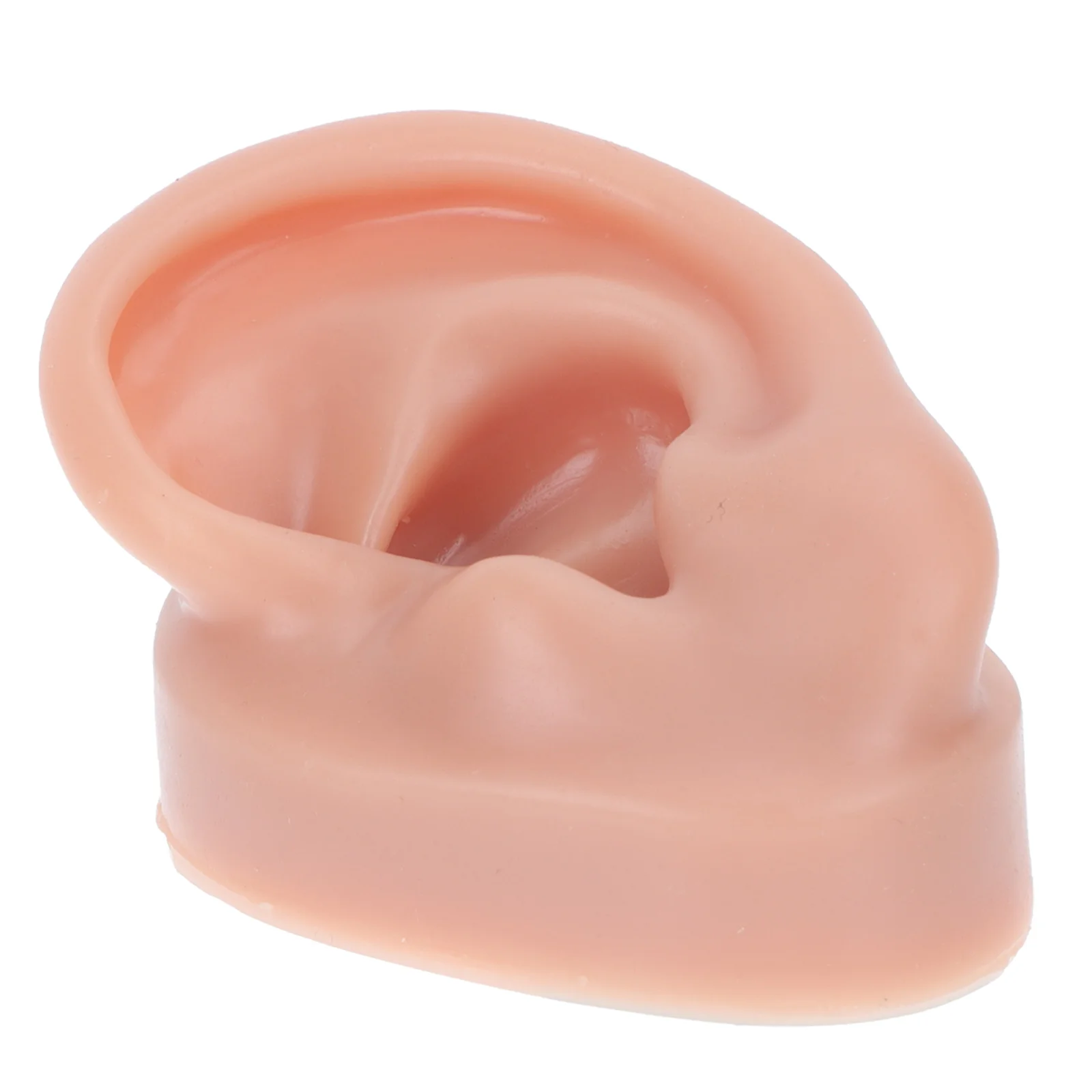 

Human Ear Model for Studs Wearing Presentation Part Hearing Display Prop Silica Gel Suture Practice Piercing Student