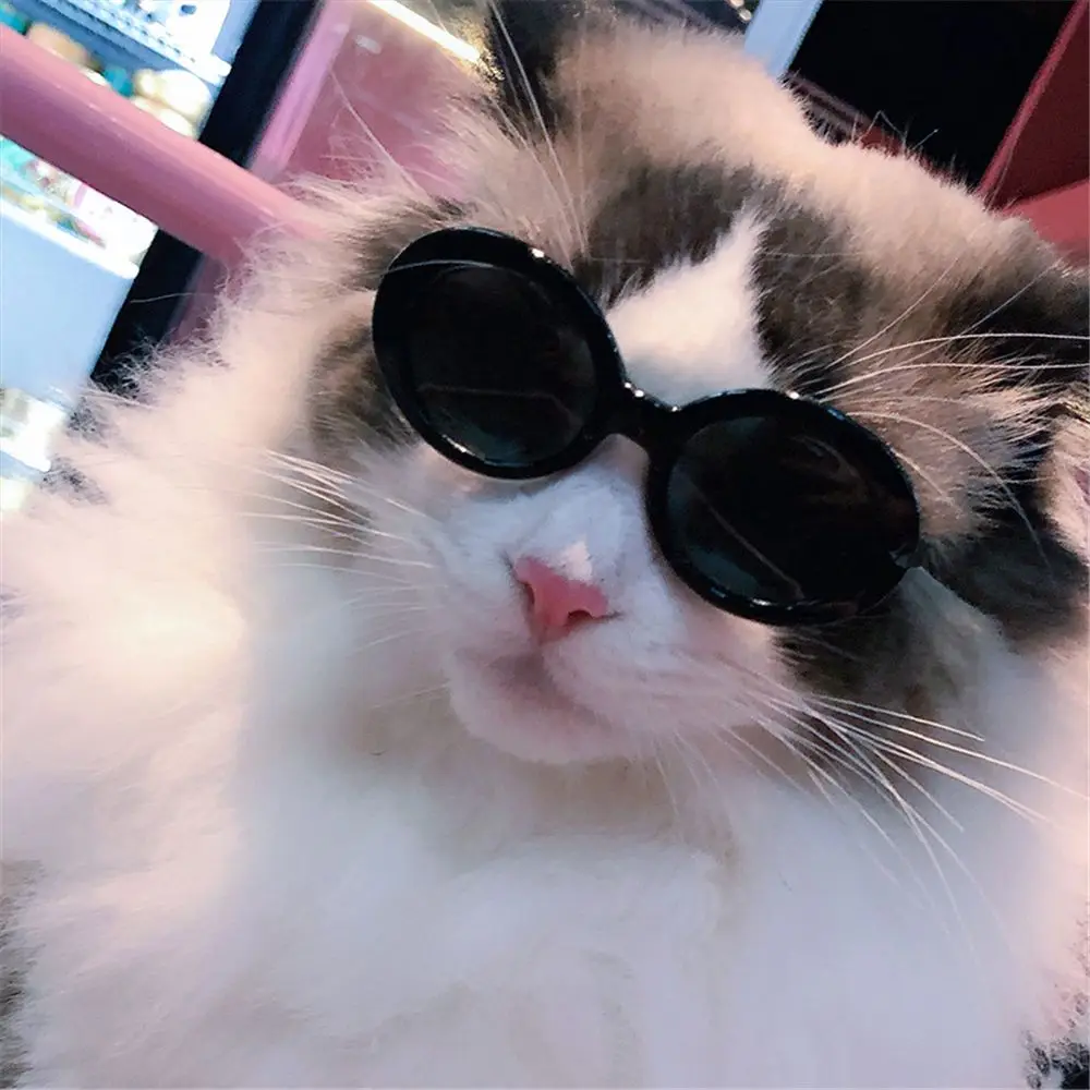 Title 12, Doll Accessories Cool Photograph Props Pet Acce...