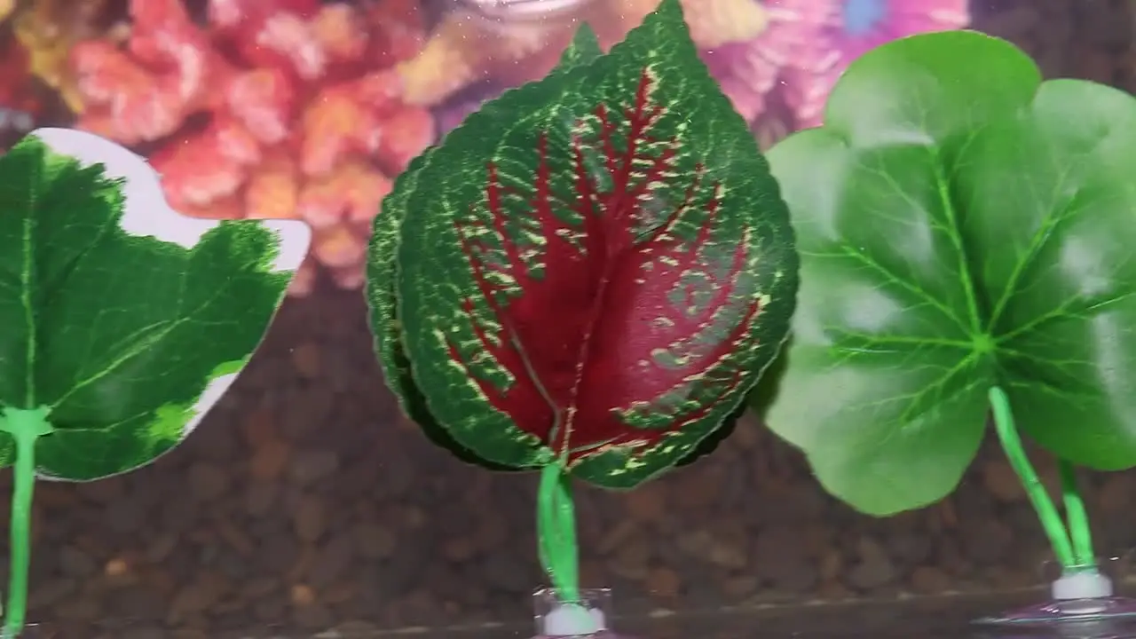 Искусственный лист для аквариума