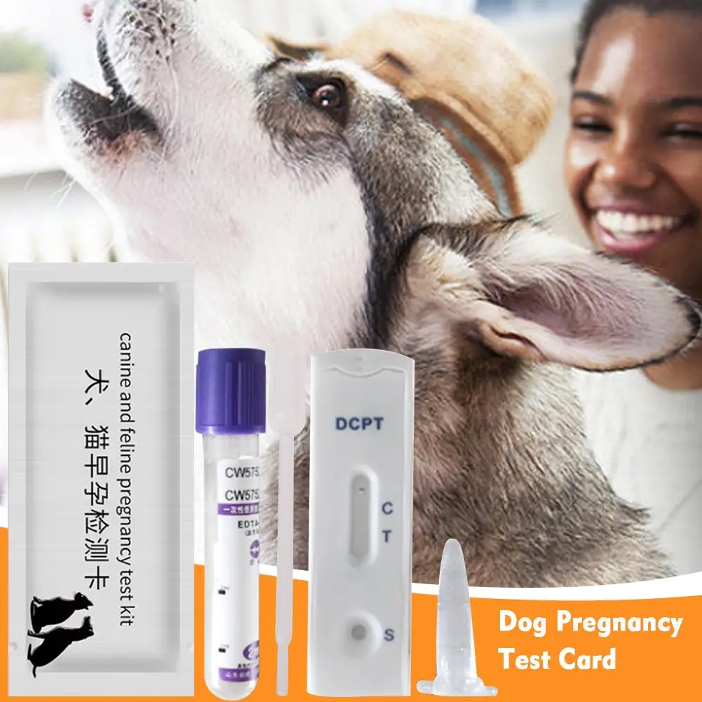 Home Dog Pregnancy Test Kit 15 Minutes Rapid Testing Serum or Venous Blood Test All Large Medium Small Dogs