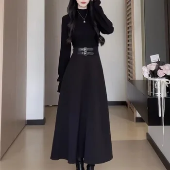 Temperamento Chic Autunno Inverno Nuovi abiti Donna Dolcevita solido Fusciacche Corsetto Stile Hepburn Moda Abiti lunghi con maniche a lancio 1