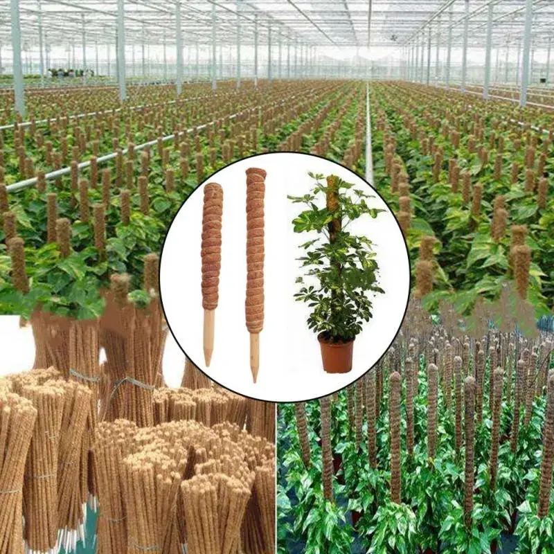 50cm Plant Climbing Coir Totem Pole Safe Gardening Coconut  Stick For Climbing Plants Vines And Creepers Plant Support