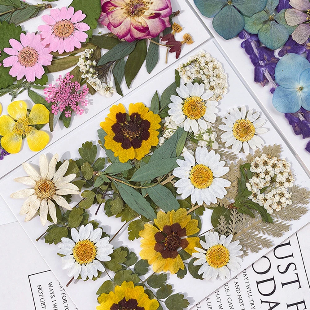 1BagDriedFlowersDiyPressedFlowersStickersForPhoneCaseJewelry