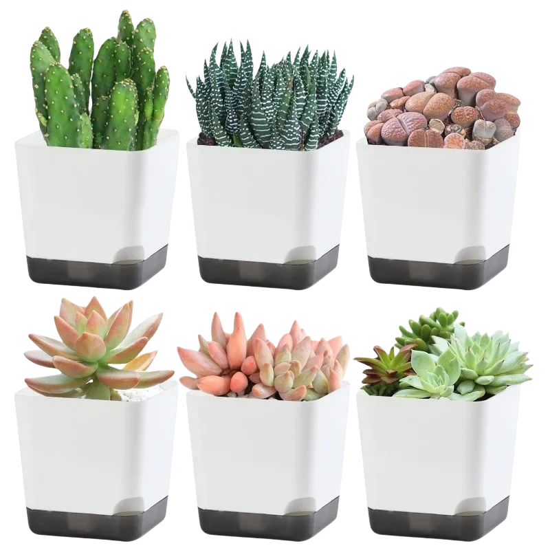 Set of 5 Self-Watering Plant Pots with Drainage and Reservoir Saucer for Indoor and Outdoor Use