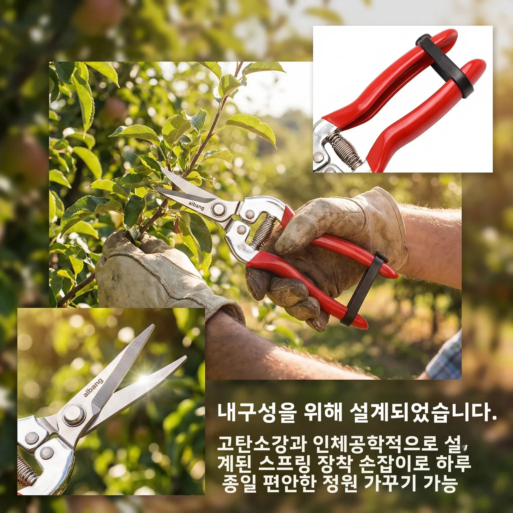 가지치기 가위 포도 가위 정원 도구 채소밭 분재 전문가용 스테인리스 스틸 과일 따기용 잠금장치 포함 새 제품