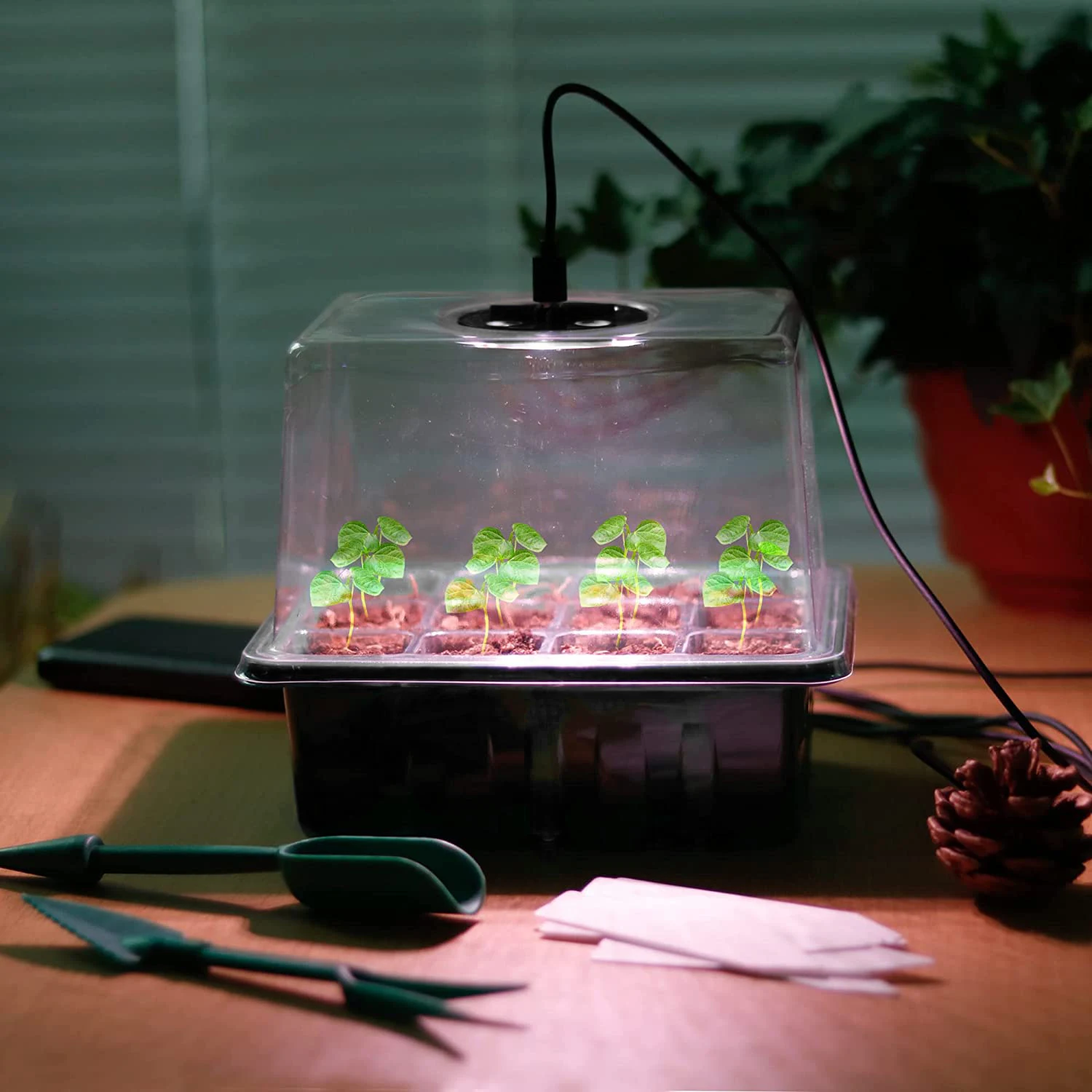 2-5 Pack Seedling Tray Starter with Grow Light,Seed Starter Trays with LED Light,Gardening Plants Germination Tray with Holes