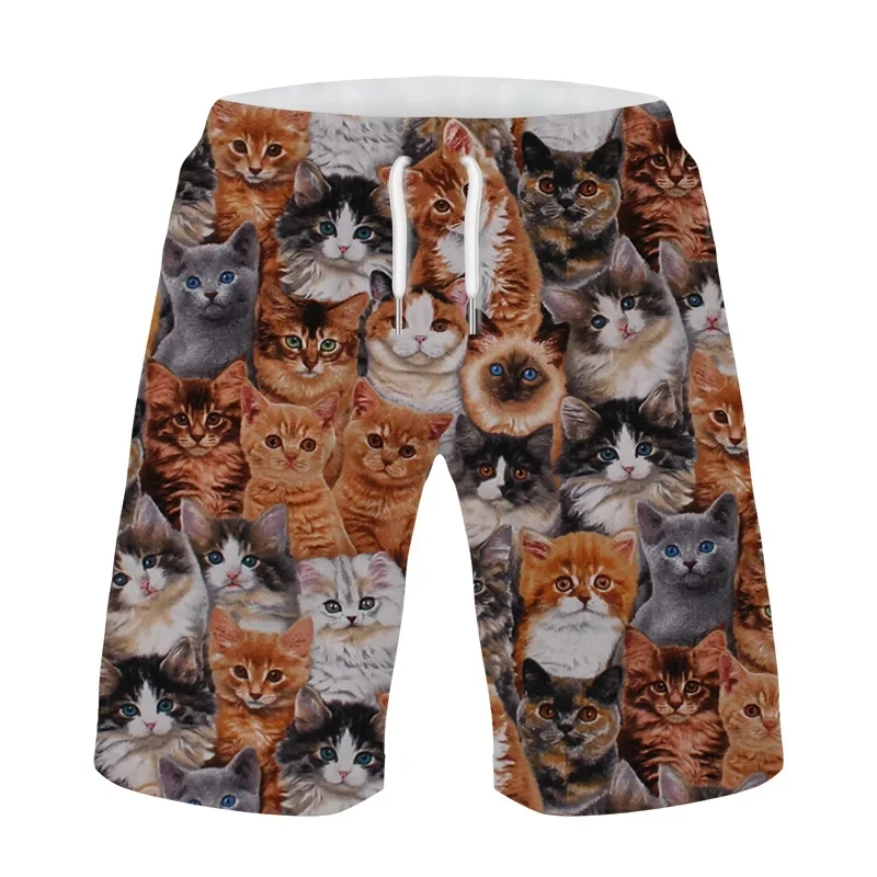 

3D Print Cute Animal Cat Beach Shorts For Men Hawaiian Board Shorts Pet Cats Graphic Kid Short Pants Streetwear Bermudas Trunks