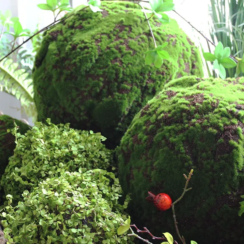 Moss Ball Topiary