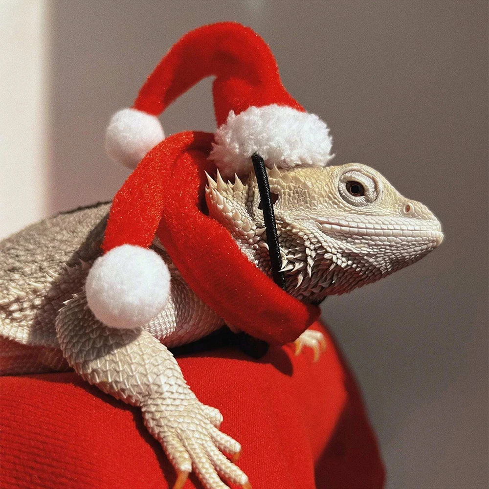 2pcs/set Lizard Christmas Decorative Hat