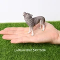 Wolf -5
