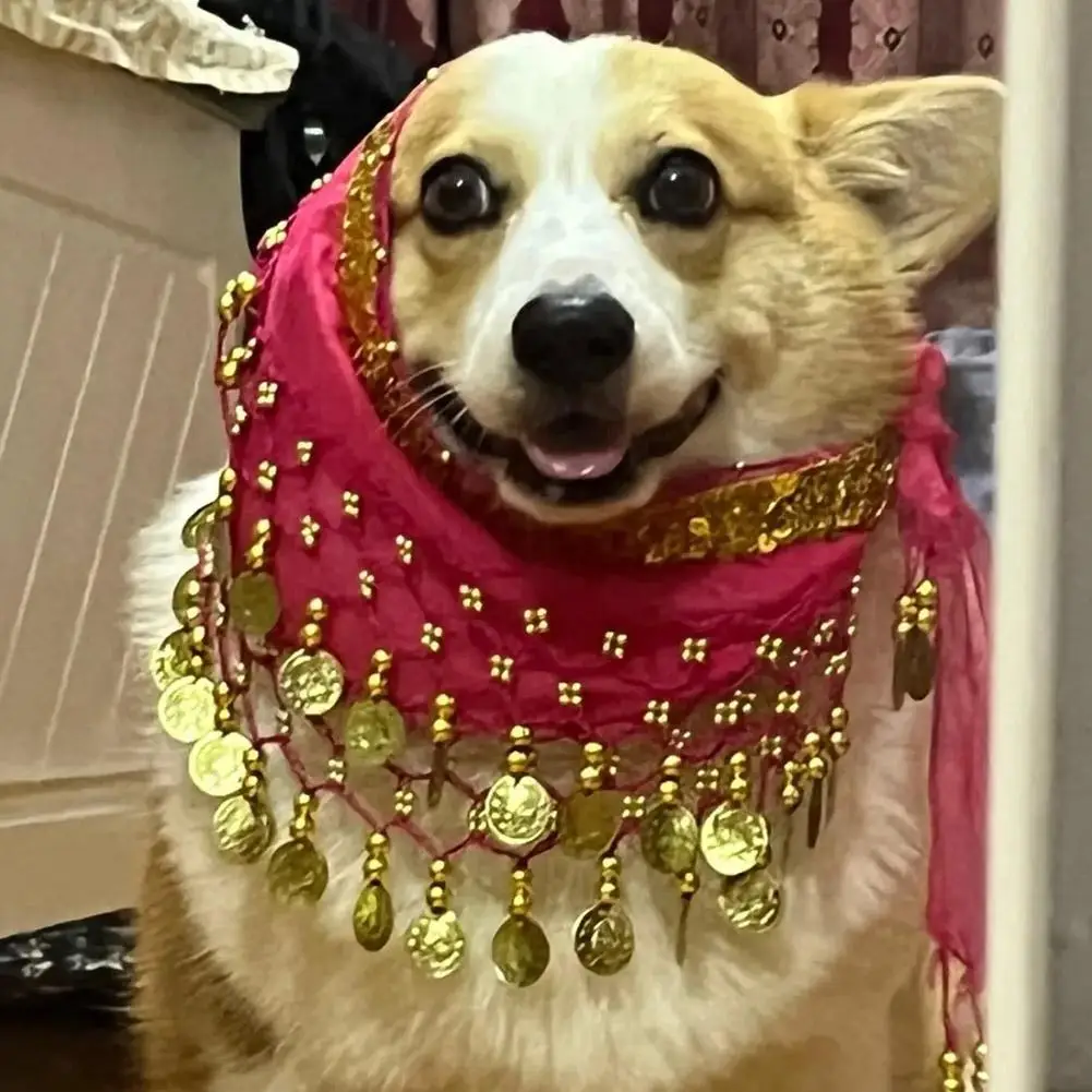 Dog Costume Set Dog Booty Shake Dance Booty Towel Decoration Pet Clothes Hip Wrap Pet Dance Scarf Belt Dancing Skirts Clothes Belly