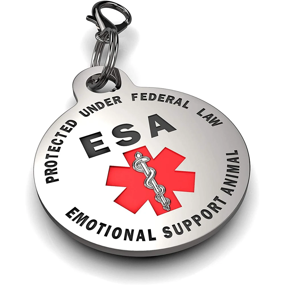 Personalized Dog & Cat Nameplate ID Tag – Double-Sided Engraved Pet Collar Accessory