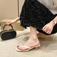 Clip-toe Fashion Sandals Women 2025 Summer New Thin Heel Flip Flops Ladies New Designer Casual Solid Color Slippers for Women - Image 4