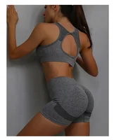 Women's Seamless Yoga Set Hollow Back Bra and Shorts