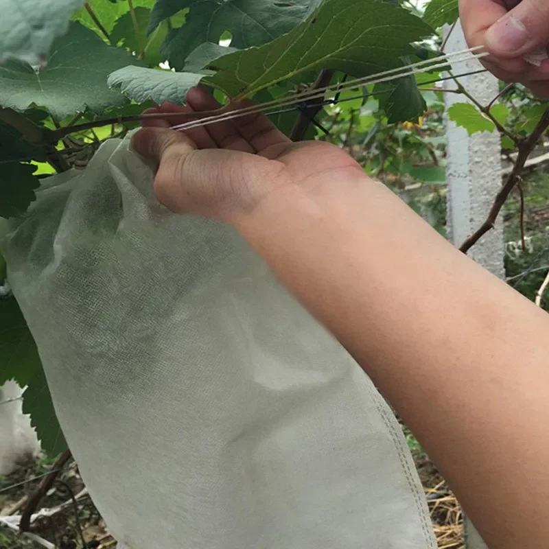 100Pcs Drawstring Style Grape Protect Bag Fruit Protection Bags Mesh Bag Against Insect Pouch Waterp Mini Greenhouse