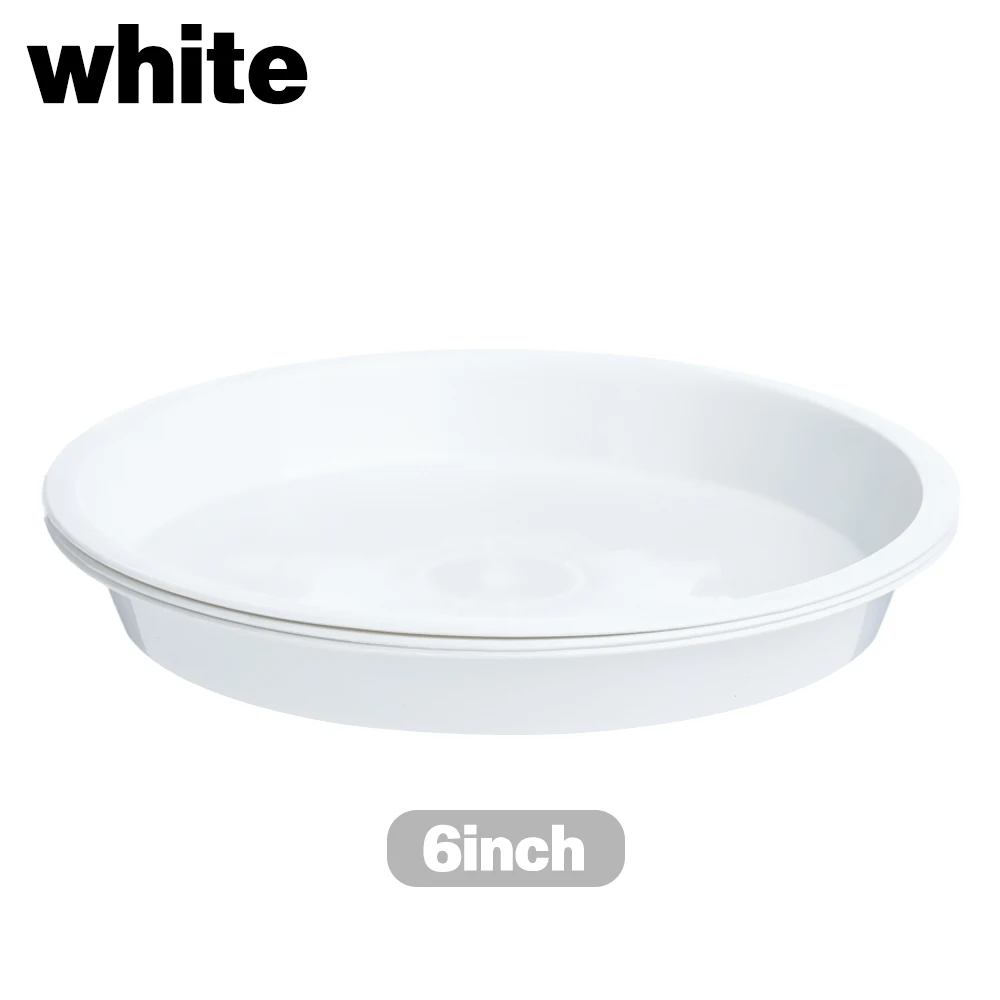 white-6inch